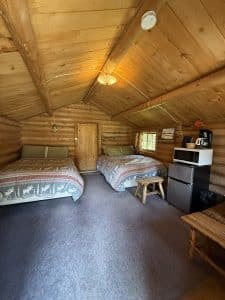 IMG 1242